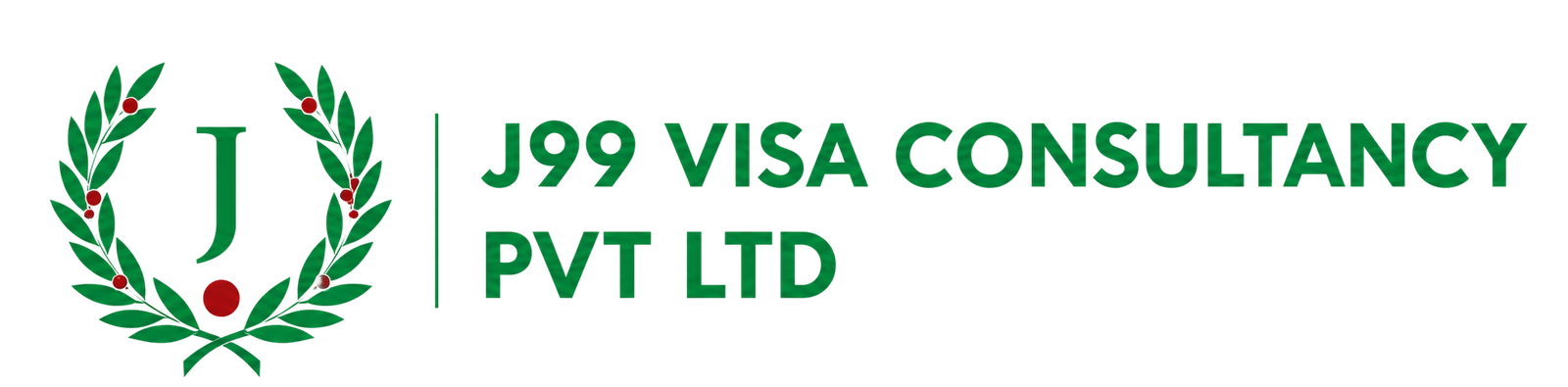 J99_Visa_logo20.png